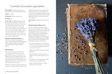 Load image into Gallery viewer, Green Witch Magick: Essential Plants and Crafty Spellwork for a Witch’s Cupboard