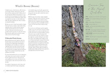 Load image into Gallery viewer, Green Witch Magick: Essential Plants and Crafty Spellwork for a Witch’s Cupboard