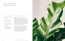 Load image into Gallery viewer, The Healing Power of Plants: The Hero Houseplants That Will Love You Back