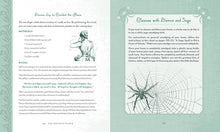 Load image into Gallery viewer, The Holistic Witch: Connecting with Your Personal Power for Magickal Self-Care