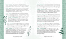 Load image into Gallery viewer, The Holistic Witch: Connecting with Your Personal Power for Magickal Self-Care