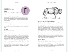 Load image into Gallery viewer, In Focus Runes: Your Personal Guide (Poster Included)