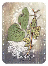 Load image into Gallery viewer, Magickal Herb Oracle: Secret Nature Magick (36 Full-Color Cards and 120-Page Guidebook)