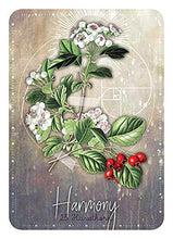 Load image into Gallery viewer, Magickal Herb Oracle: Secret Nature Magick (36 Full-Color Cards and 120-Page Guidebook)
