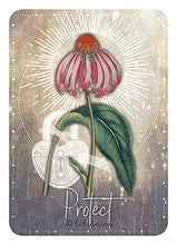 Load image into Gallery viewer, Magickal Herb Oracle: Secret Nature Magick (36 Full-Color Cards and 120-Page Guidebook)