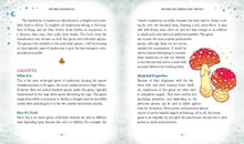 Load image into Gallery viewer, Mushroom Magick: Ritual, Celebration, and Lore