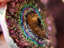 Load image into Gallery viewer, Bismuth Koalas