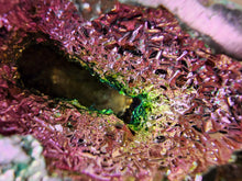 Load image into Gallery viewer, Bismuth Rams ~ Aries