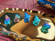 Load image into Gallery viewer, Bismuth Seashells