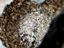 Load image into Gallery viewer, Bismuth Silver Acid Etched Cauldron