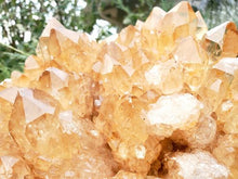 Load image into Gallery viewer, Collector's Piece! Congo Candle Citrine Display