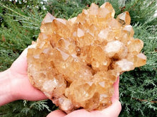 Load image into Gallery viewer, Collector's Piece! Congo Candle Citrine Display