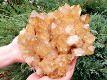Load image into Gallery viewer, Collector's Piece! Congo Candle Citrine Display