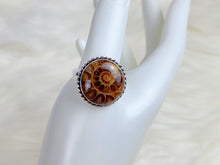 Load image into Gallery viewer, Ammonite Sterling Silver Ring, size 12.25
