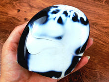 Load image into Gallery viewer, Orca Agate Freeforms
